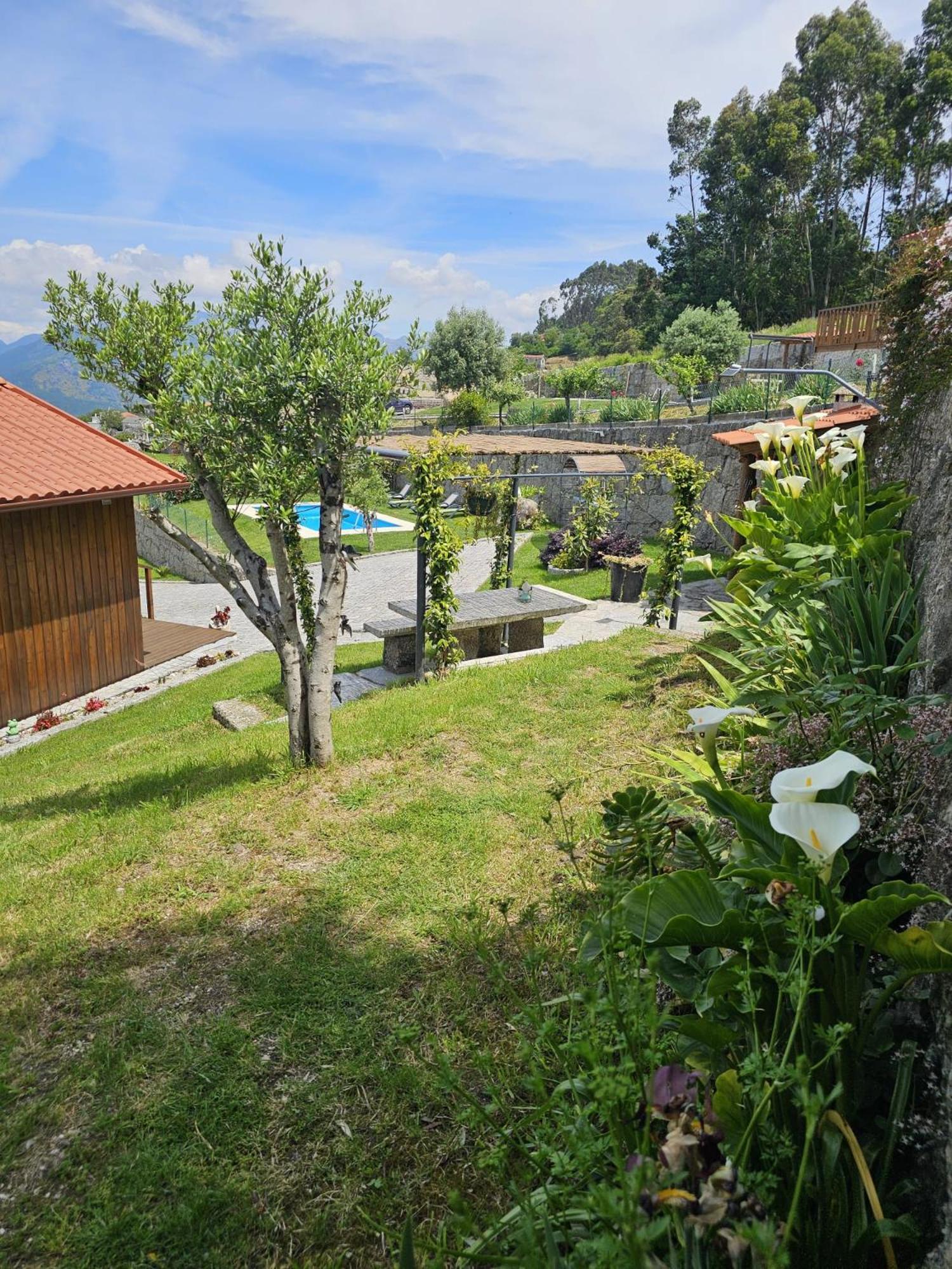 הוילה Caniçada Casa Do Iteiro חדר תמונה